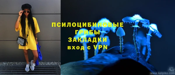 метадон Алексеевка