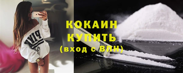 индика Покров