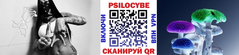 Галлюциногенные грибы Psilocybe  OMG tor  Ивдель 